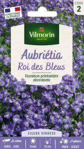 Aubriétia Roi des Bleus